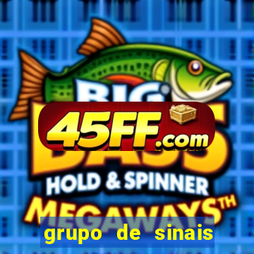 grupo de sinais trader telegram